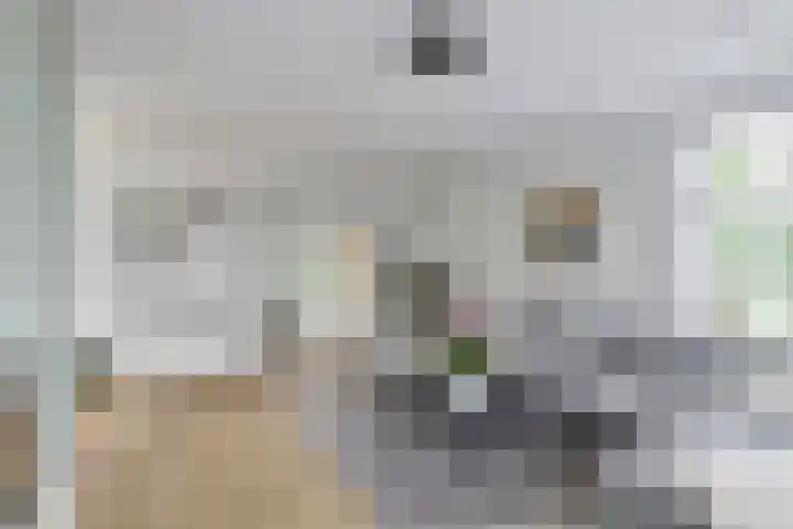 Heulstraat 3 Uitwijk thumbnail 10