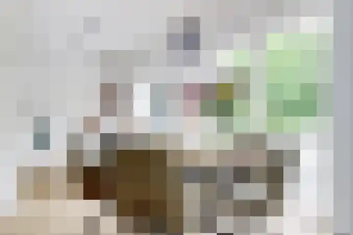 Heulstraat 3 Uitwijk thumbnail 12