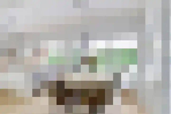 Heulstraat 3 Uitwijk thumbnail 13