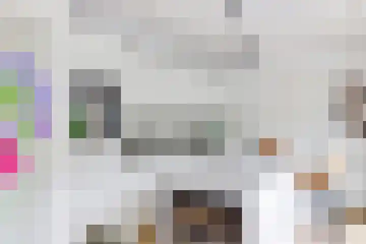 Heulstraat 3 Uitwijk thumbnail 17