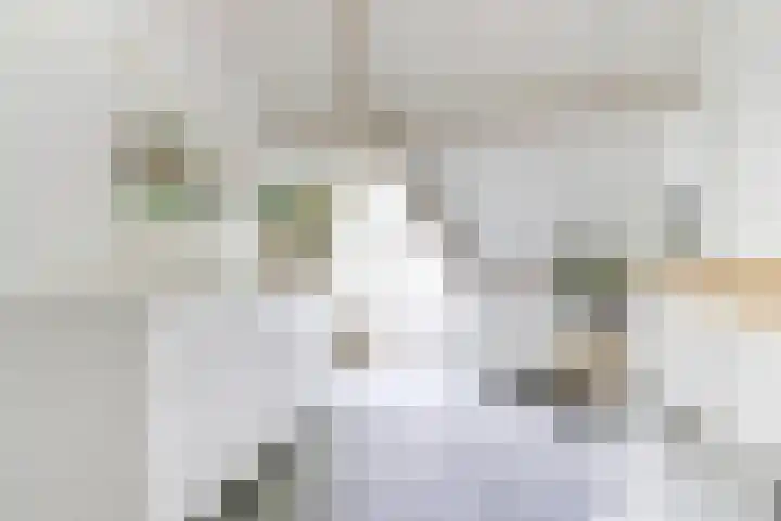 Heulstraat 3 Uitwijk thumbnail 24
