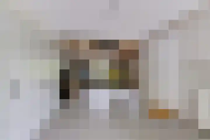 Heulstraat 3 Uitwijk thumbnail 31
