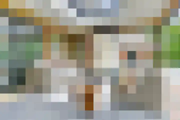 Heulstraat 3 Uitwijk thumbnail 38
