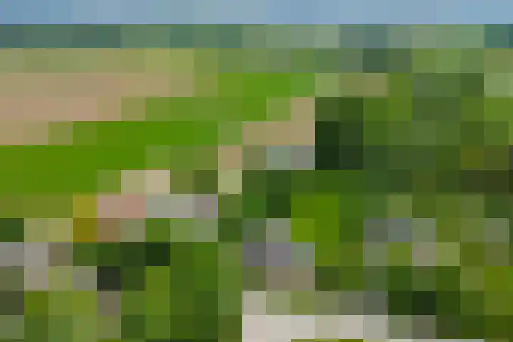 Heulstraat 3 Uitwijk thumbnail 4