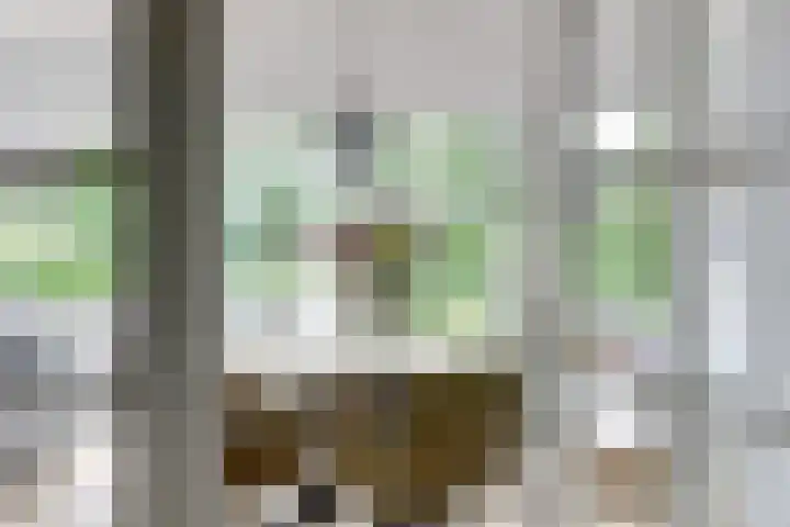Heulstraat 3 Uitwijk thumbnail 7