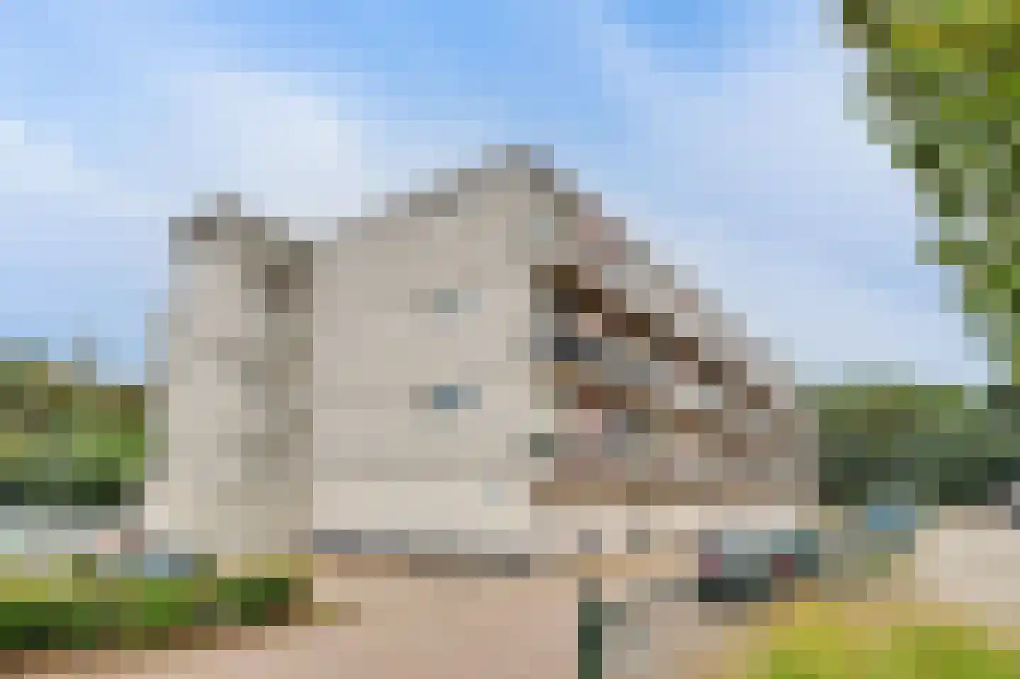 Heulstraat 36 Waalwijk thumbnail 22