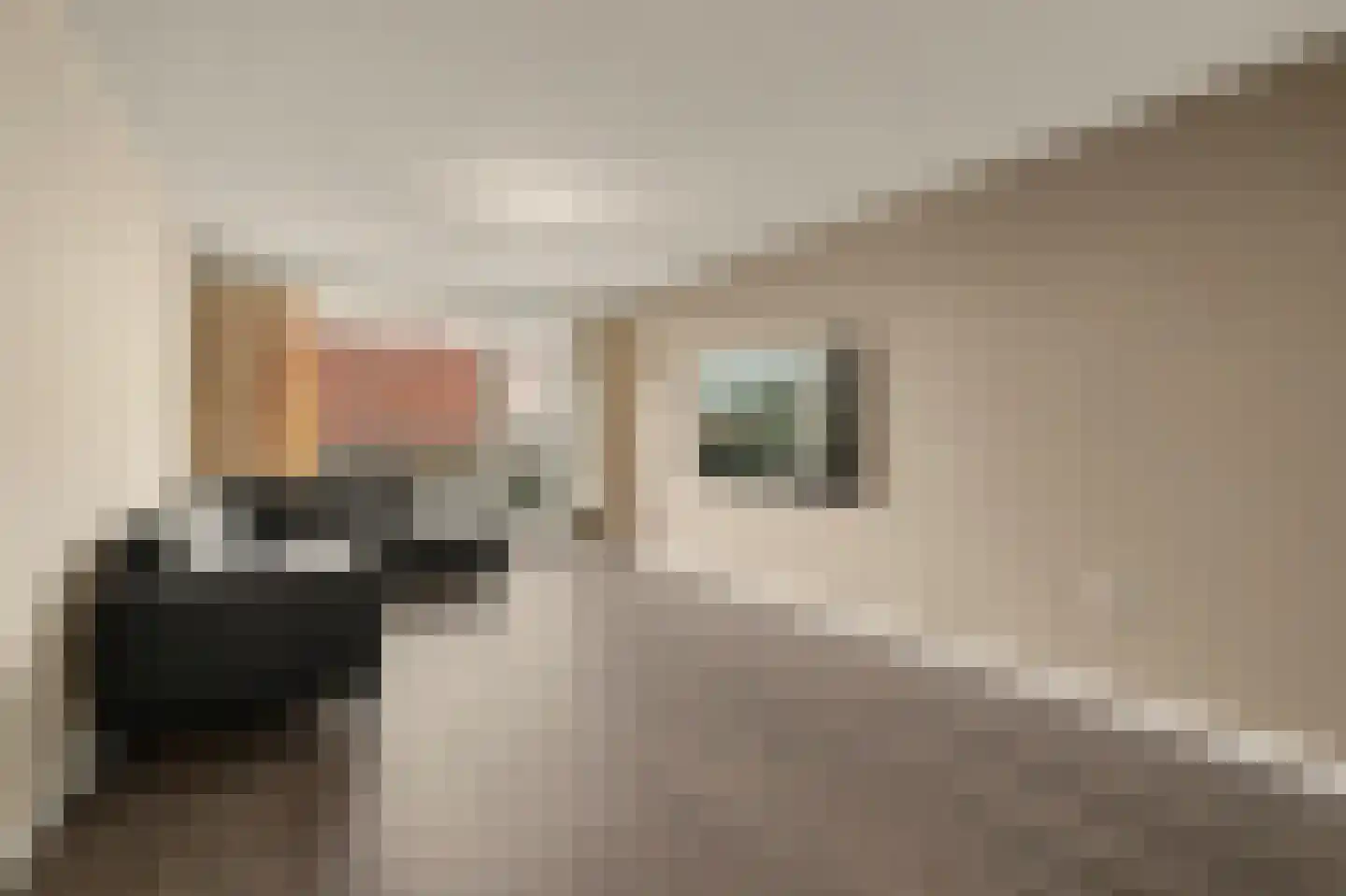 Heulstraat 36 Waalwijk thumbnail 4