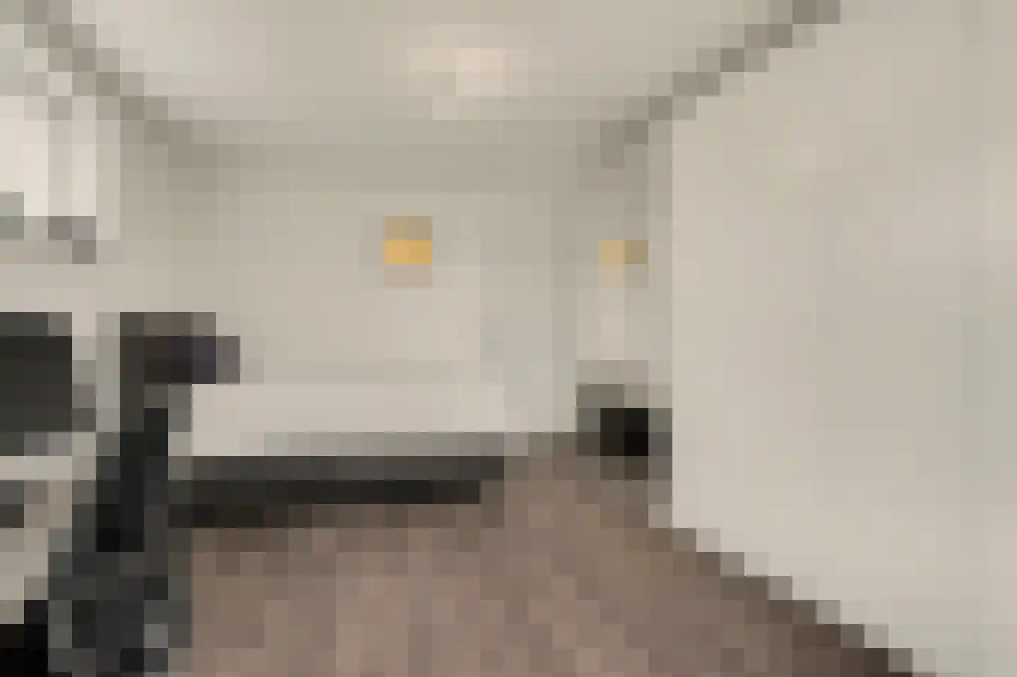 Heulstraat 36 Waalwijk thumbnail 8