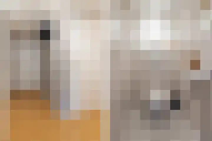 Heulstraat 38 Waalwijk thumbnail 4