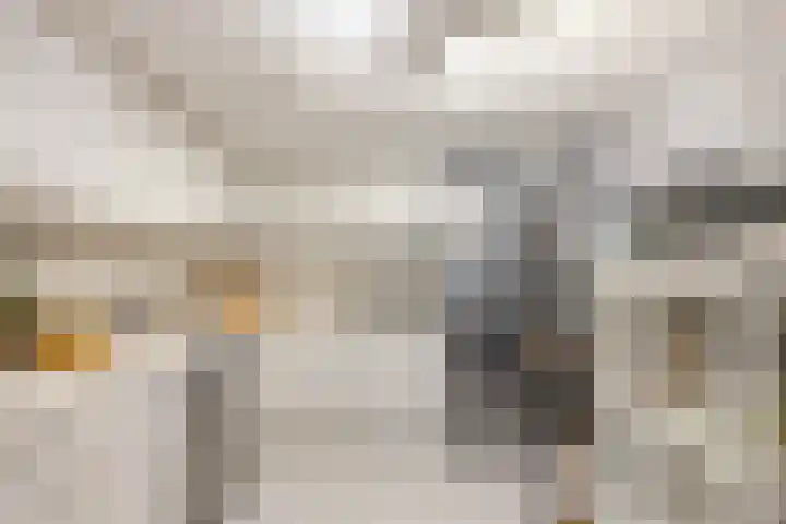 Heulstraat 38 Waalwijk thumbnail 9