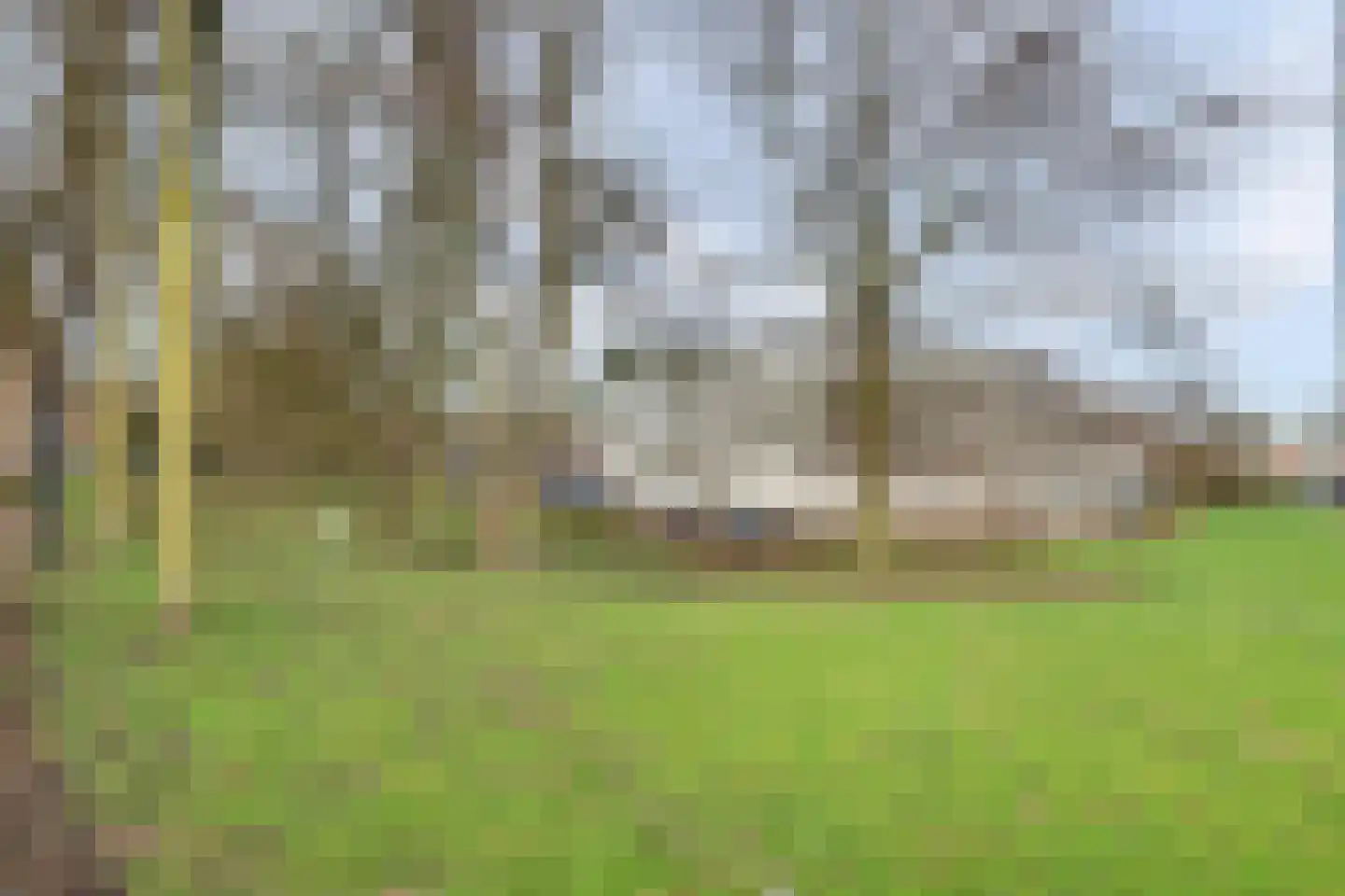 Heulstraat 56 Waalwijk thumbnail 23