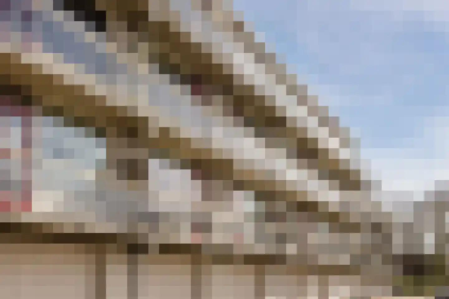 Heulstraat 58 Waalwijk thumbnail 37