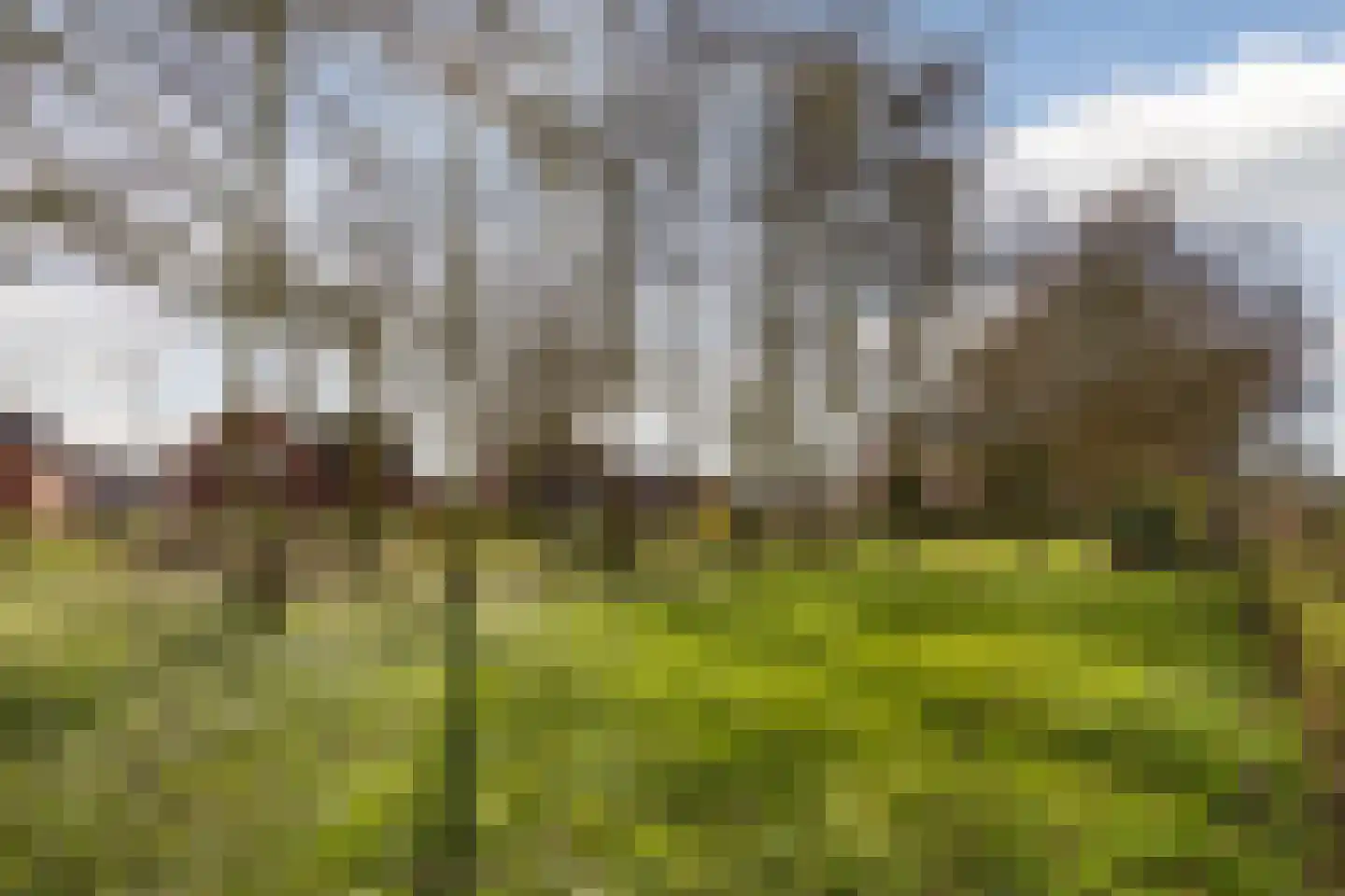 Heulstraat 58 Waalwijk thumbnail 39