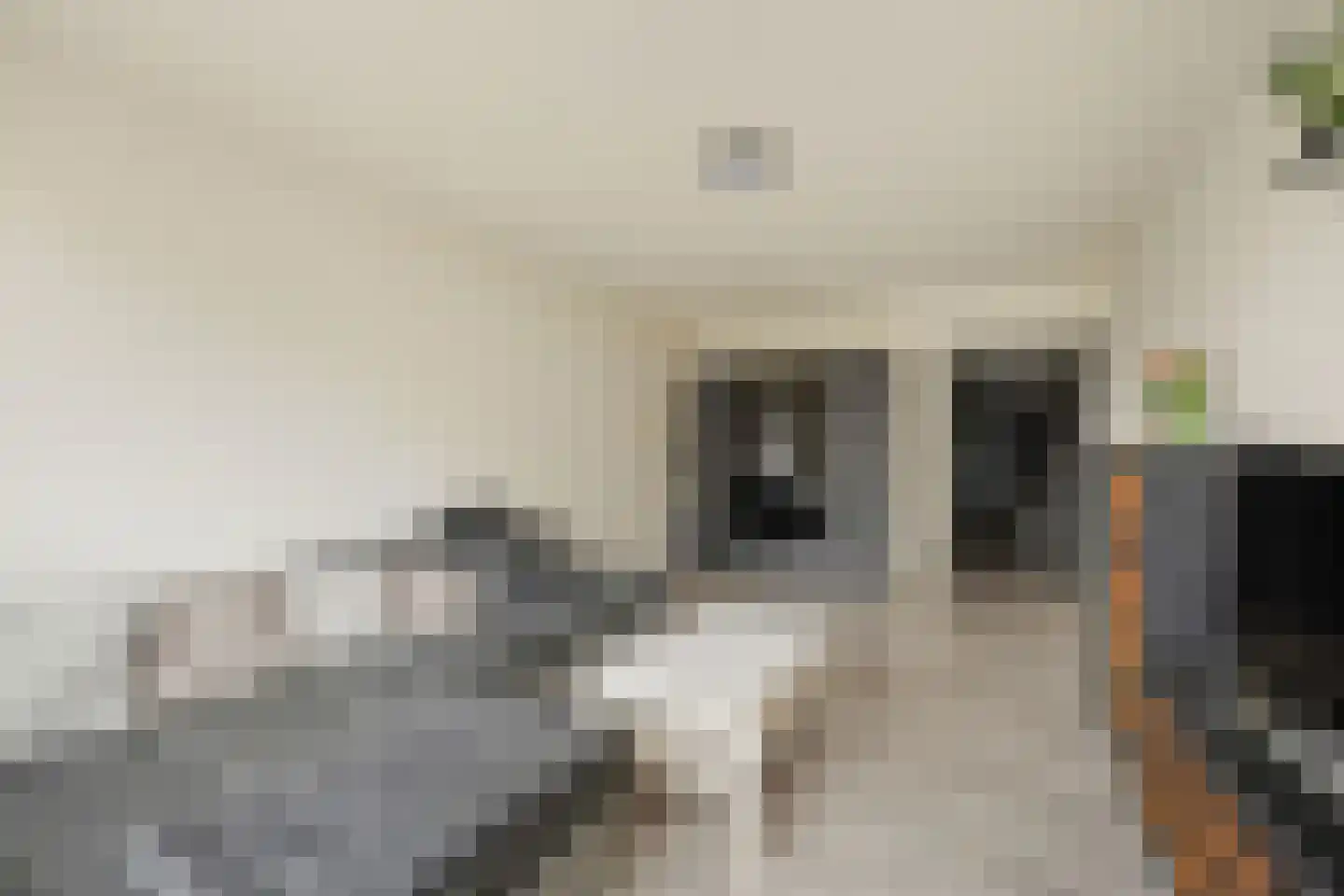Heulstraat 7 Waalwijk thumbnail 8