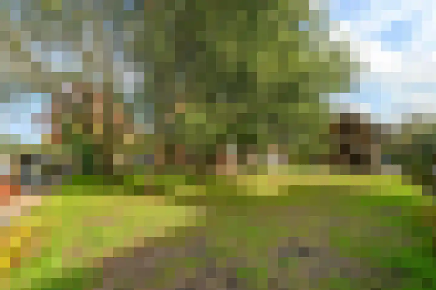 Heulweg 109 Vinkeveen thumbnail 31