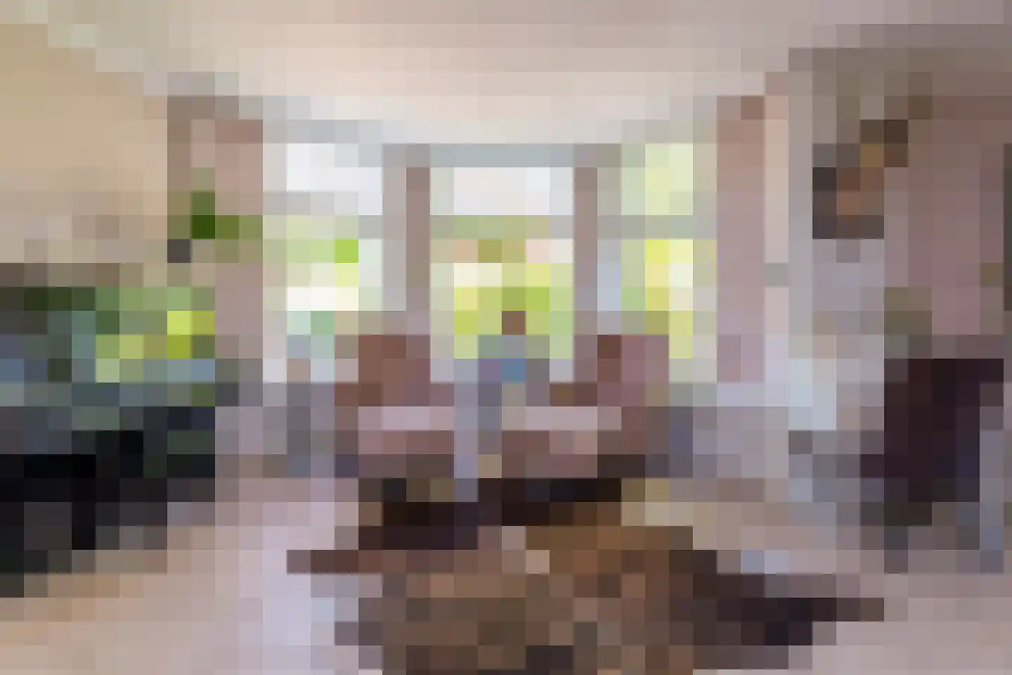 Heulweg 14 Wateringen thumbnail 13