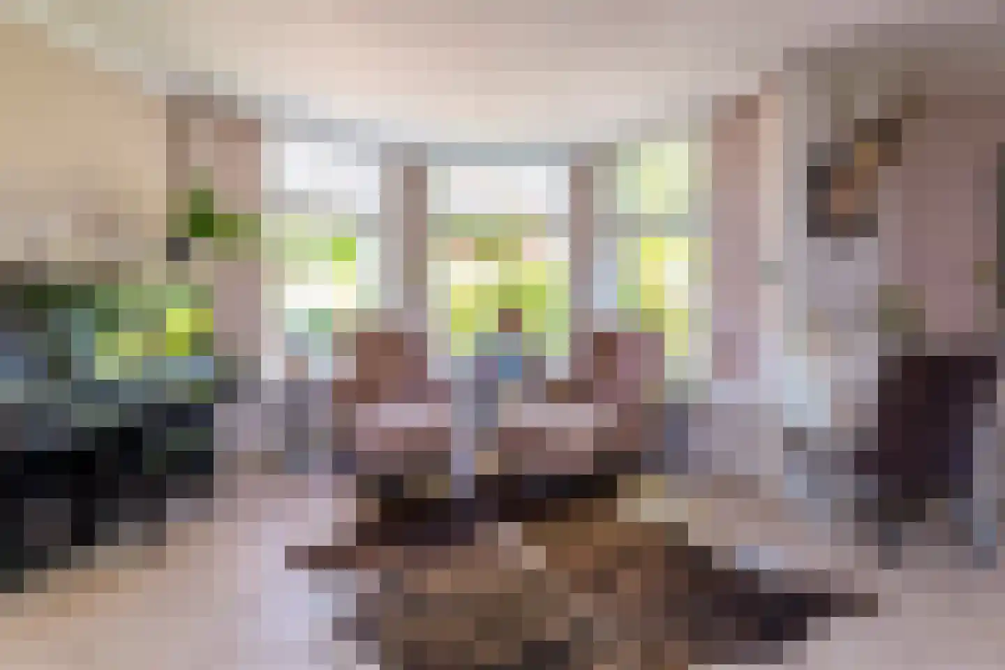 Heulweg 14 Wateringen thumbnail 14