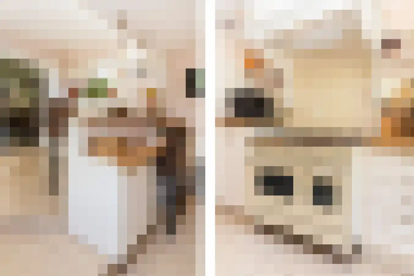 Heulweg 14 Wateringen thumbnail 26