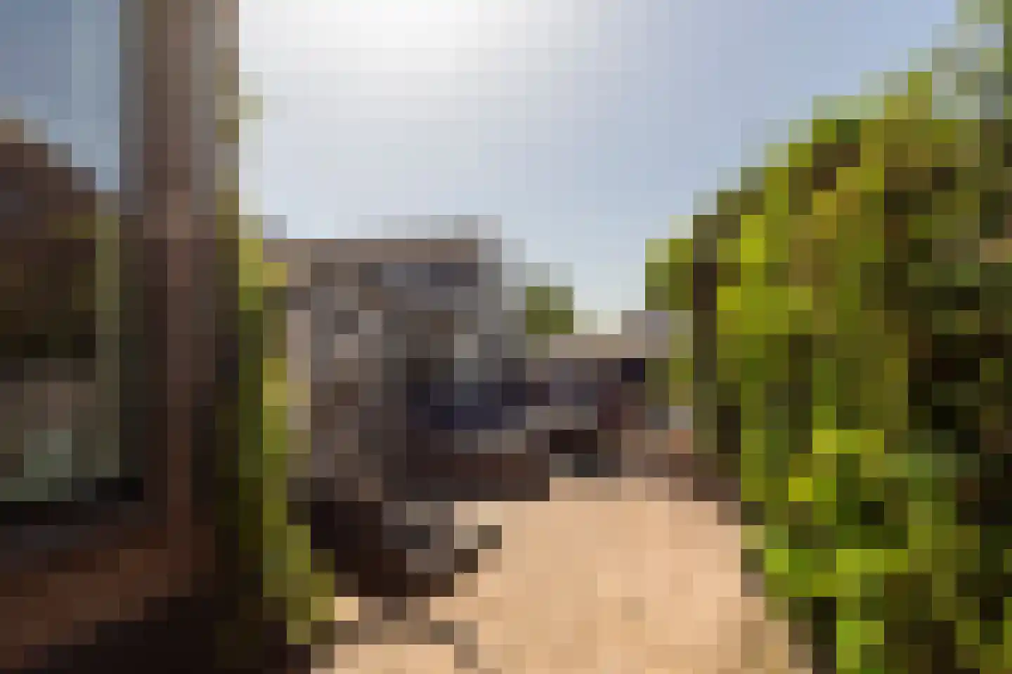 Heulweg 14 Wateringen thumbnail 27