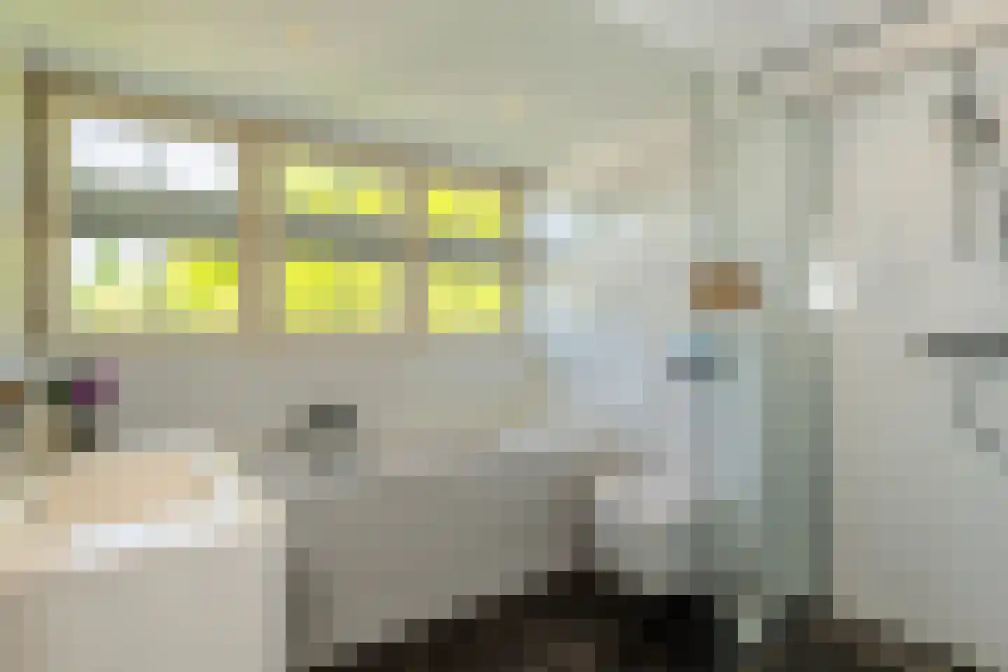 Heulweg 14 Wateringen thumbnail 5