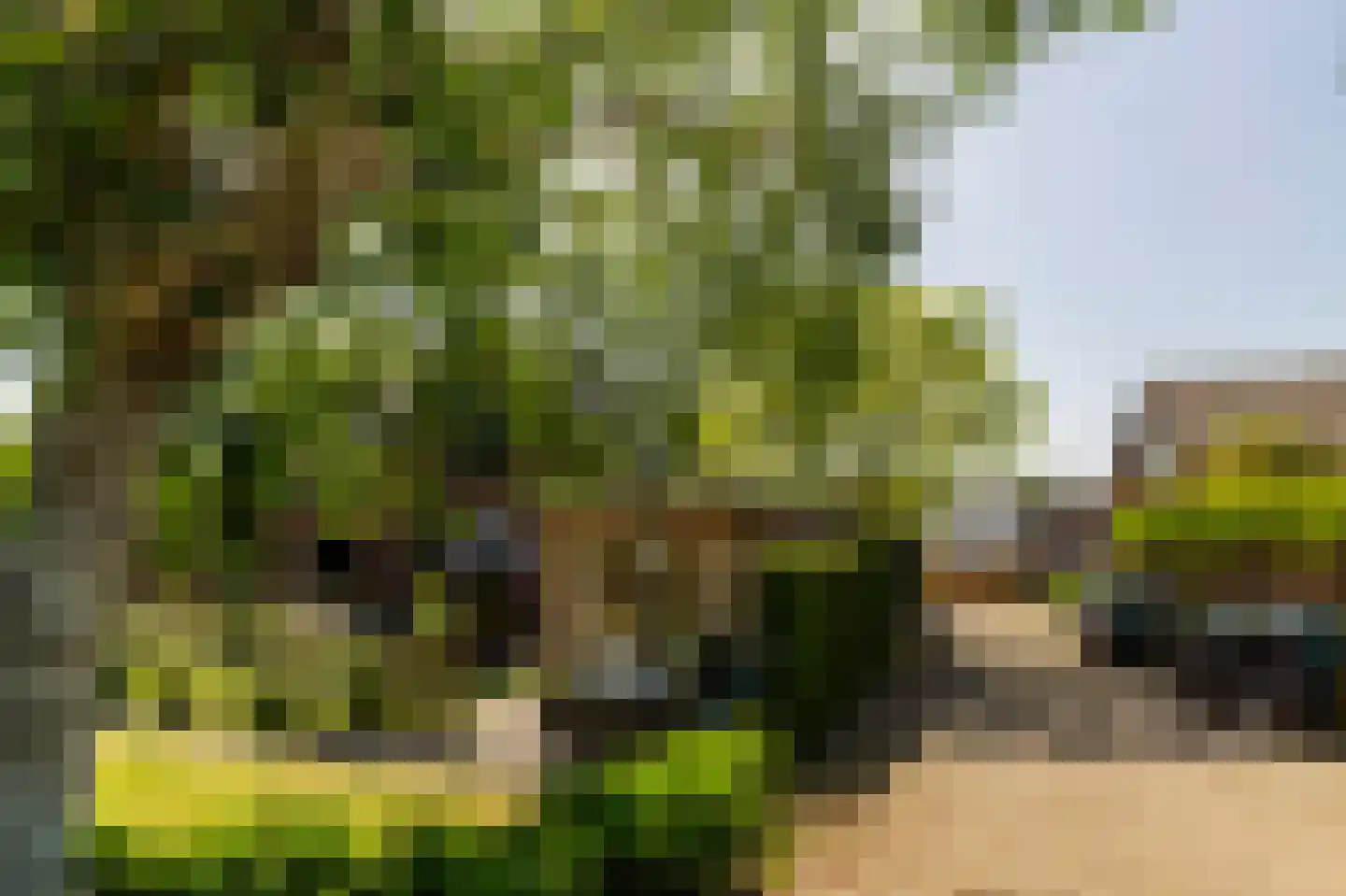 Heulweg 14 Wateringen thumbnail 6