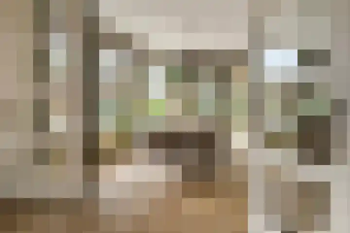 Heulweg 3 a Barendrecht thumbnail 17