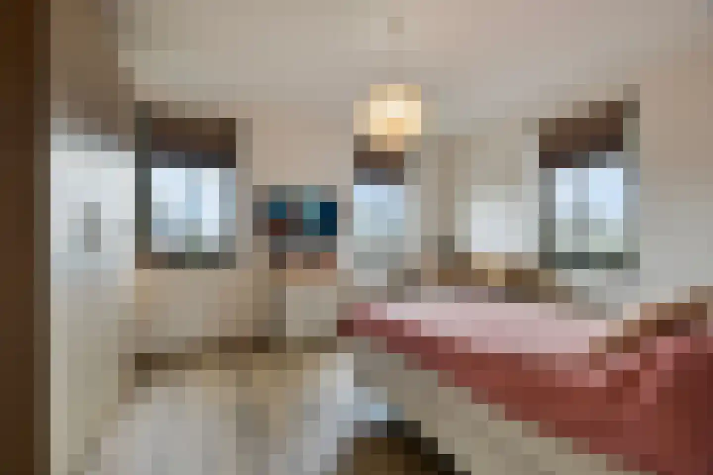 Heulweg 3 a Barendrecht thumbnail 35