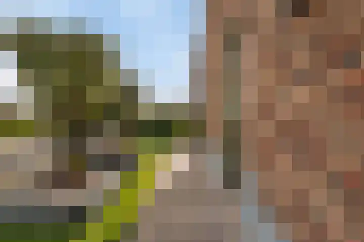 Heulweg 3 a Barendrecht thumbnail 61