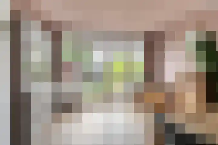 Heulweg 41 D Kwintsheul thumbnail 12