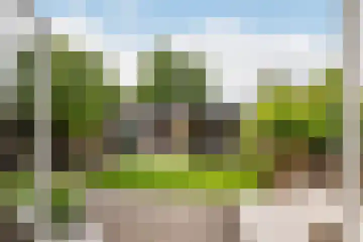 Heulweg 41 D Kwintsheul thumbnail 13