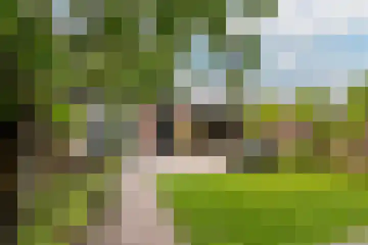 Heulweg 41 D Kwintsheul thumbnail 14