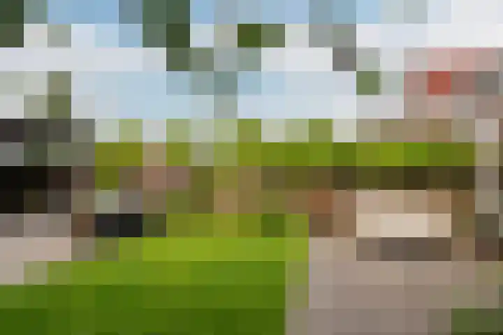 Heulweg 41 D Kwintsheul thumbnail 15