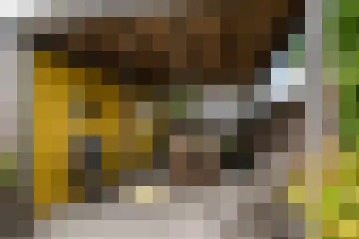 Heulweg 41 D Kwintsheul thumbnail 17