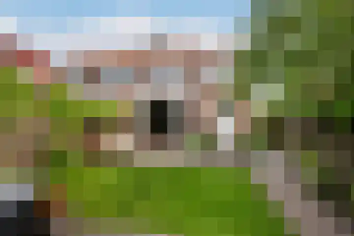 Heulweg 41 D Kwintsheul thumbnail 18