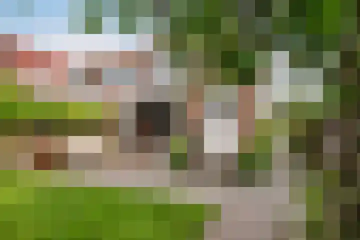 Heulweg 41 D Kwintsheul thumbnail 19