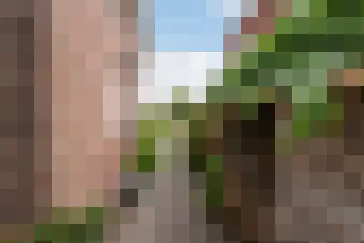 Heulweg 41 D Kwintsheul thumbnail 20
