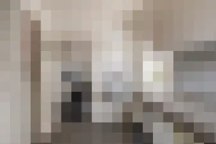 Heulweg 41 D Kwintsheul thumbnail 22