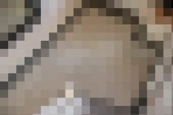 Heulweg 41 D Kwintsheul thumbnail 24