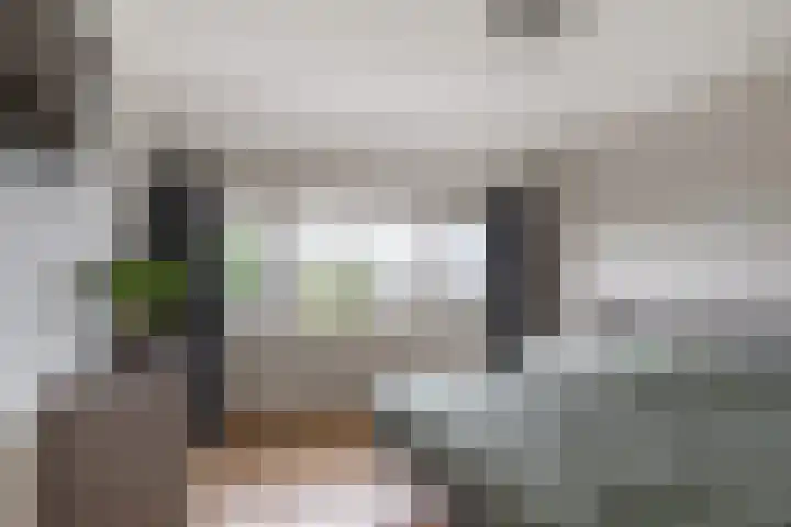 Heulweg 41 D Kwintsheul thumbnail 28
