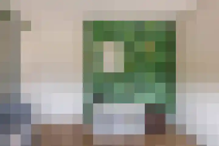 Heulweg 41 D Kwintsheul thumbnail 38