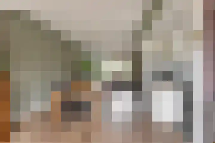 Heulweg 41 D Kwintsheul thumbnail 4