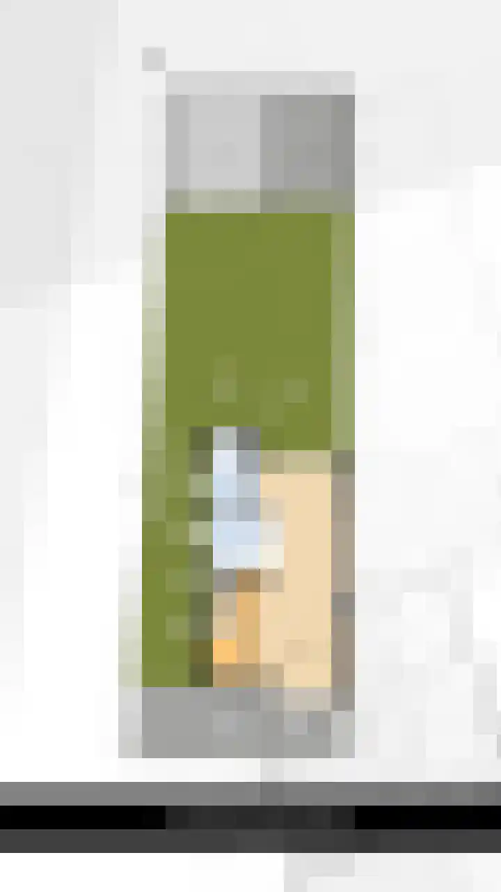 Heulweg 41 D Kwintsheul thumbnail 41
