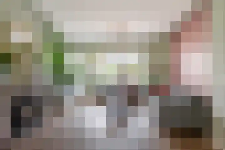 Heulweg 41 D Kwintsheul thumbnail 5