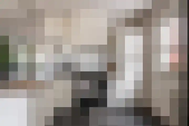 Heulweg 41 D Kwintsheul thumbnail 8