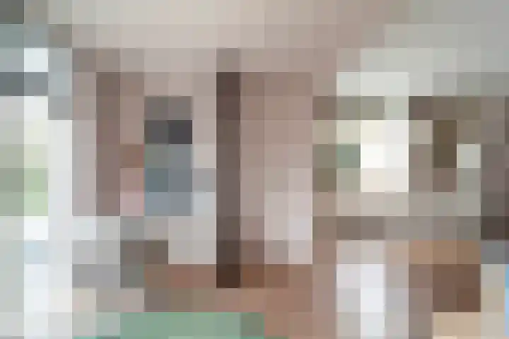 Heulweg 43 Kwintsheul thumbnail 17