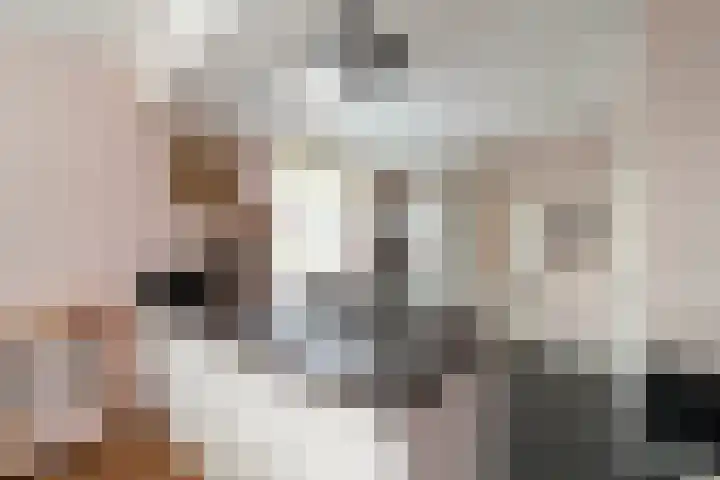Heulweg 43 Kwintsheul thumbnail 19