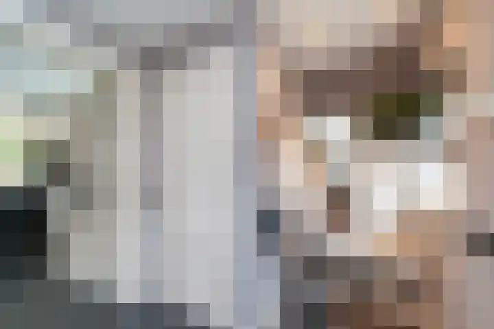 Heulweg 43 Kwintsheul thumbnail 30