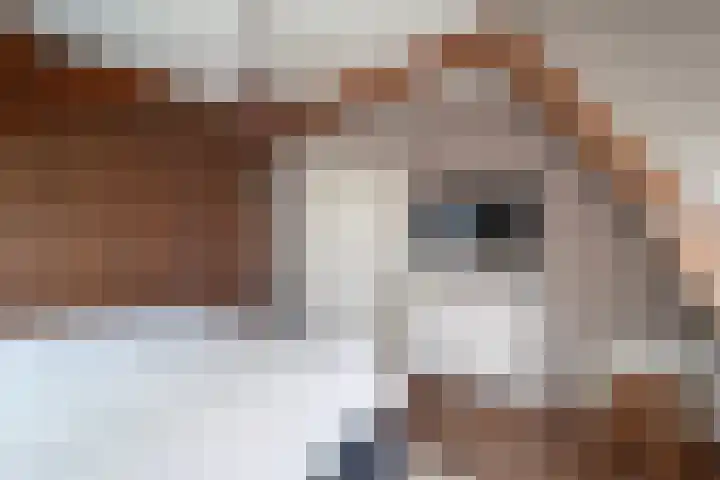 Heulweg 43 Kwintsheul thumbnail 42