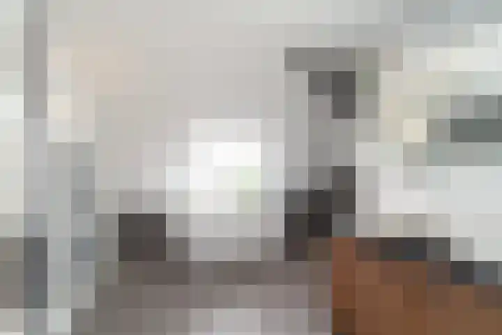 Heulweg 43 Kwintsheul thumbnail 44