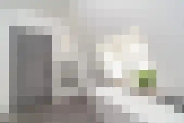 Heulweg 43 Kwintsheul thumbnail 45